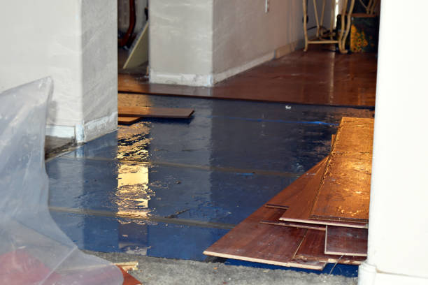 Professional Basement Flood Cleanup technician working in Kellnersville, WI